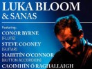Luka Bloom 2011