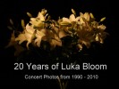20 Years of Luka Bloom