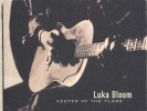 Luka Bloom 2001
