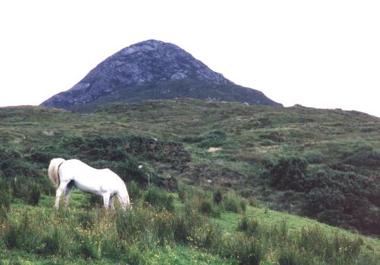 Diamond Hill