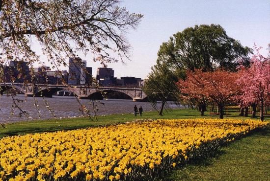 Washington, March 2000